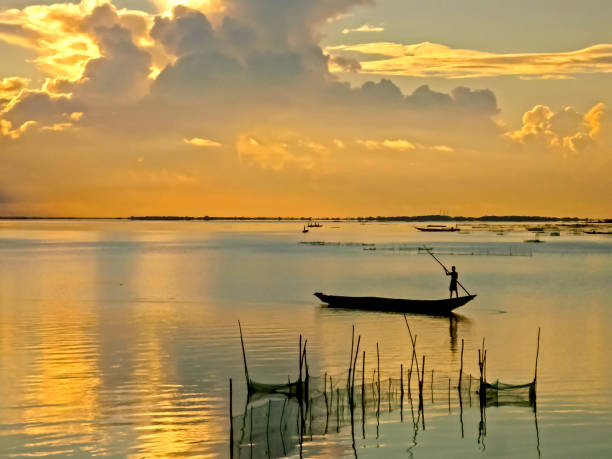 Exotic Destination 2